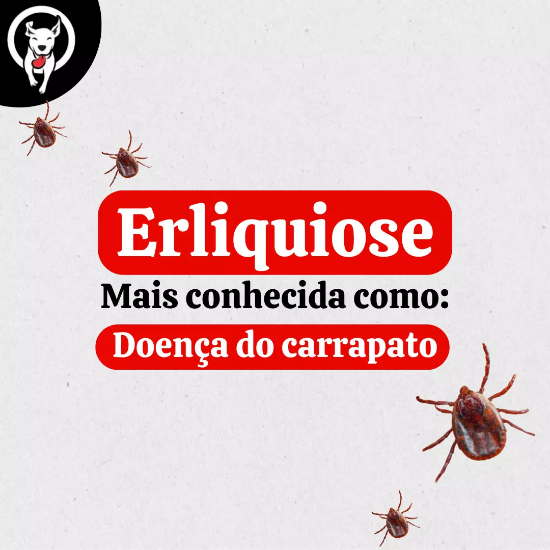 Erliquiose. Mais conhecida como: doença do carrapato